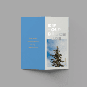 2 fold flyer
